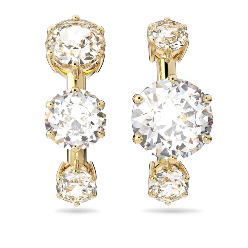 楽天市場】スワロフスキー【SWAROVSKI】 クリスタル コンゴウインコ