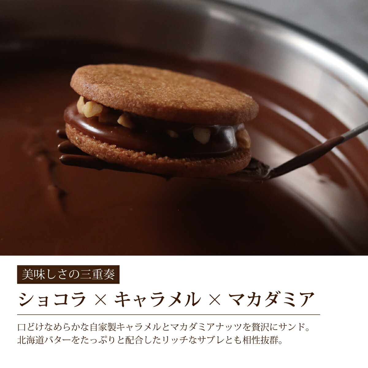 楽天市場 パティシエの手作り マカダミア の キャラメルサンド チョコレート菓子 洋菓子 焼き菓子 焼菓子 ナッツ キャラメル サンド スイーツ マカダミアナッツ チョコレート チョコ 個包装 高級 おしゃれ ギフト プチギフト プレゼント お取り寄せ ギフト