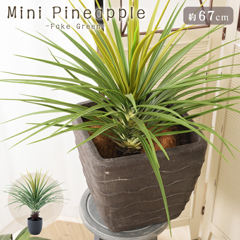 楽天市場】ミニパイナップル フェイクグリーン GRN-12 高さ67cm