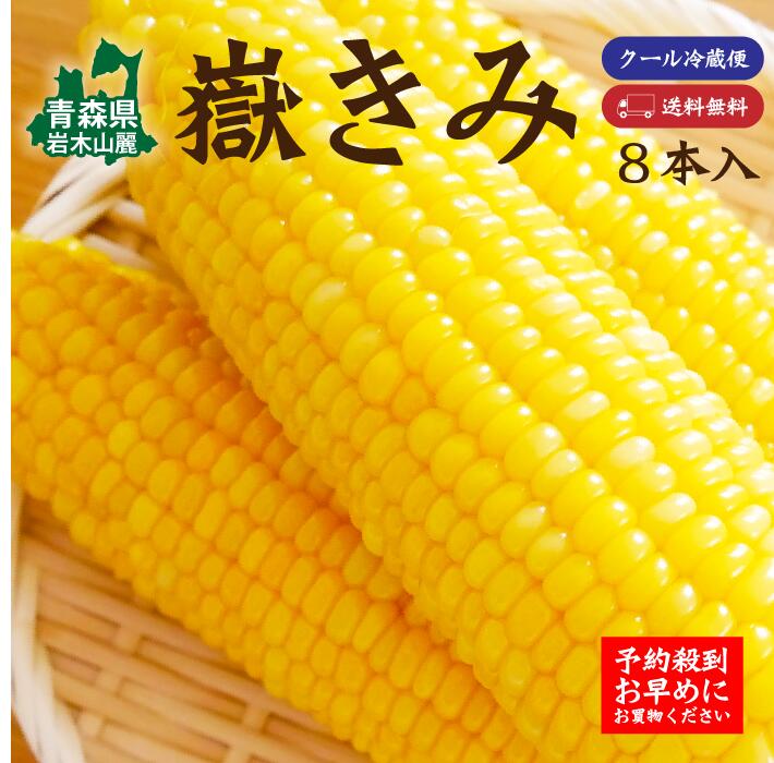 楽天市場 本年度分の嶽きみは大好評につき終了いたました とうもろこし 21年産 嶽きみ だけきみ 岩木山 青森県産とうもろこし 甘い L 2lサイズ 8本入 青森 甘い トウモロコシ 獄きみ 岳きみ ギフト お中元 送料無料 まいたうん