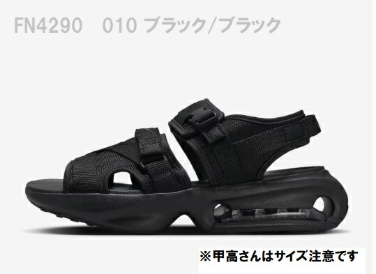 NIKEエアマックスSOLスポサン FN4290-010 25.0cmブラック Amazon | [ナイキ] エア マックス ソル W AIR MAX SOL ブラック