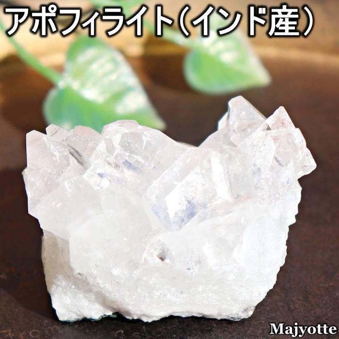 楽天市場】エントリーで全品ポイント10倍！【2月1日(日)09時59分まで