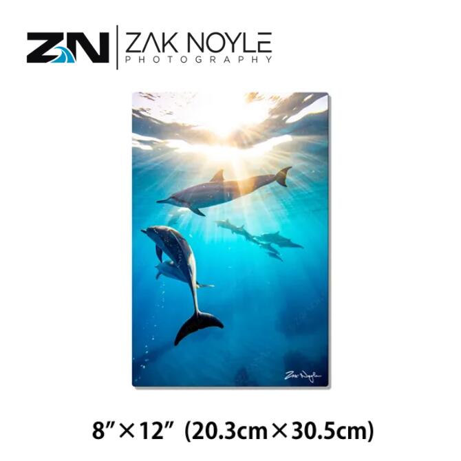 ザックノイル アルミプリント STAFF MEETING SN:2/100【zak noyle ハワイ 写真 イルカ インテリア ハワイアン雑貨 ハワイアンアート サーフィン 海 波 自然 アート 壁掛け プリント フォト グラフィック ウォール リゾート 西海岸 】｜Ma kai