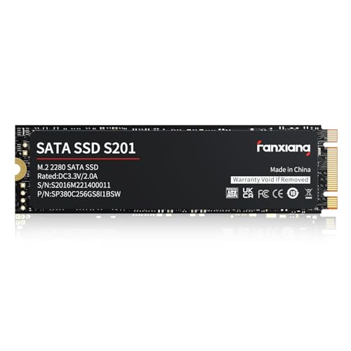 fanxiang S201 2TB M.2 SSD 2280 SATA III 6Gb/s 内蔵ソリッドステートドライブ SLCキャッシュ 速度向上 読取り速度最大550MB/秒 ノートパソコンとPCデスクトップに対応 (ブラック)