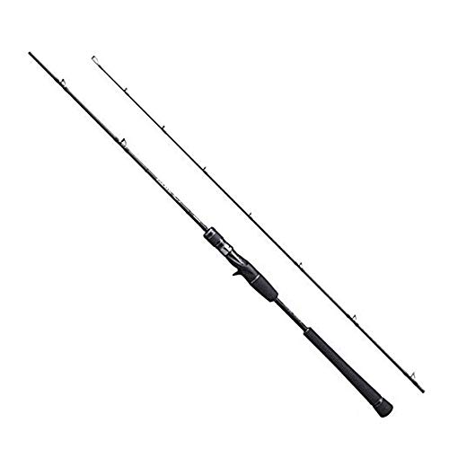 シマノ(SHIMANO) ジギングロッド 20 ゲームタイプJ ベイト B60-4 10kgクラスの青物 ワンピッチジャーク 水深40~100m|SelectSHOP 岐阜 店