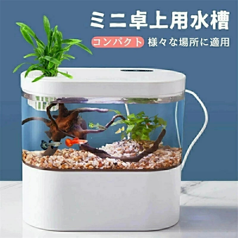 水槽60センチ セット ポンプ 底石 LEDライト xtddg-1.jpg