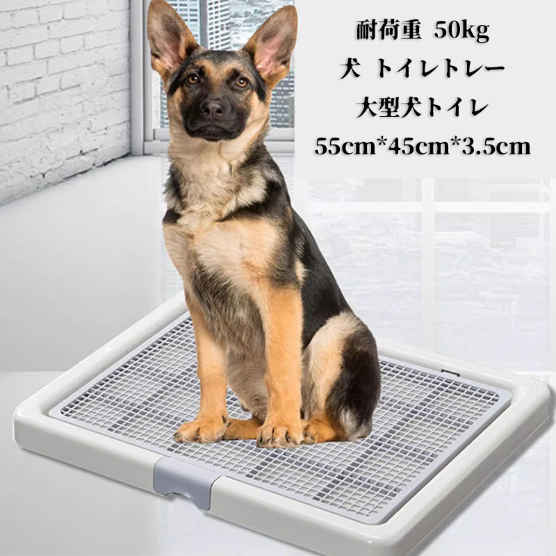 DogLife 犬 トイレ トレー ブラウン XXL 700×590×200H Amazon | DogLife 犬 トイレ トレー 大型犬 特大 スーパー