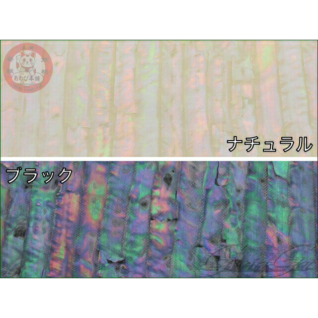 楽天市場】あわび本舗 アワビシート カリフォルニア 希少シェルシート