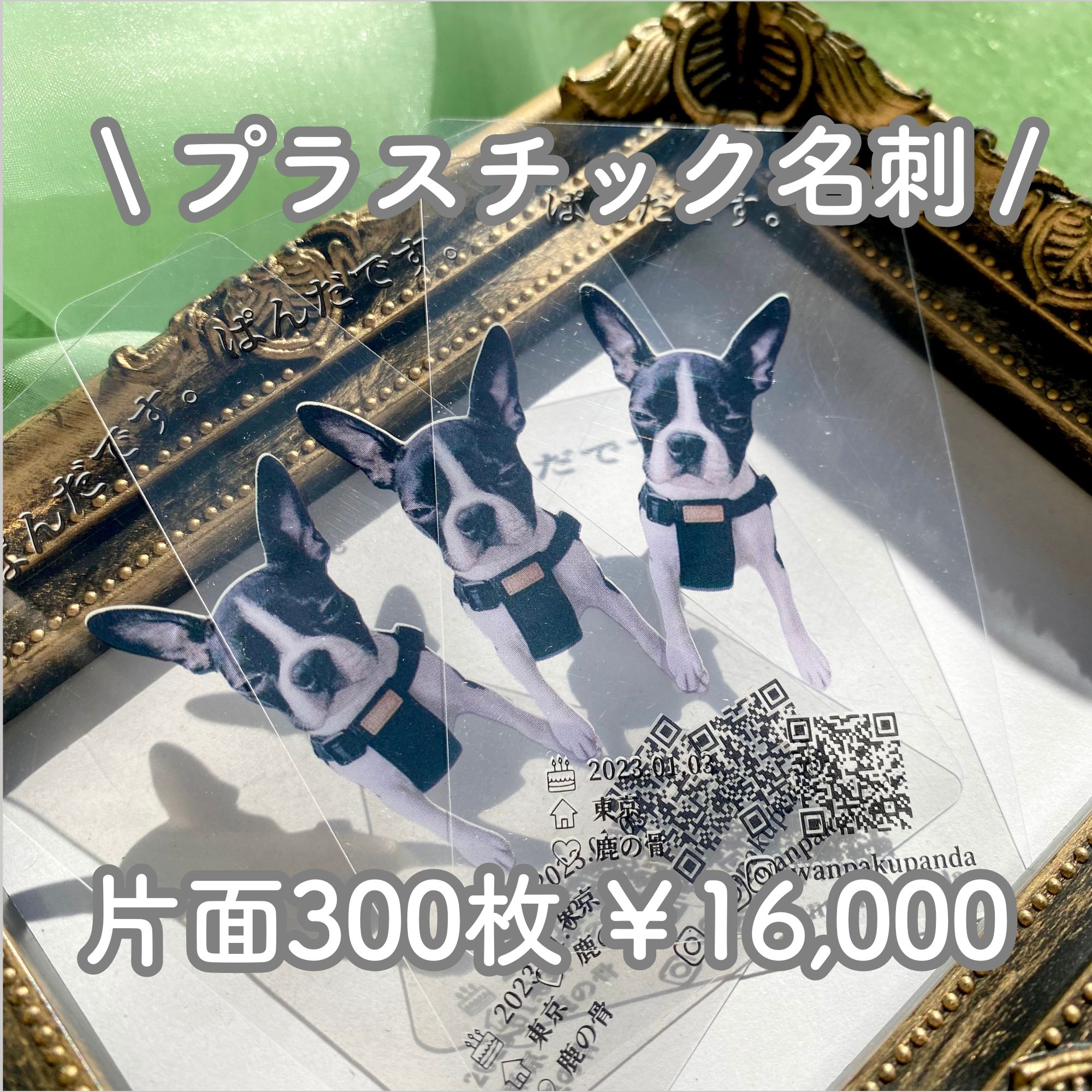 【プラスチック名刺・片面300枚】 イメージ確認あり ペット名刺 ビジネス名刺|Make with