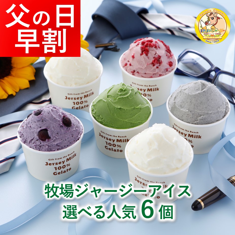 完璧 ジェラート専門店の選べるジェラート 8個セット 父の日 ギフト バースデー 抹茶 清見 キウイ パンプキン ブルーベリー 栗 いちご 塩ミルク  不知火 ゆず 七折小梅 りんご いよかん など ジェラート アイスクリーム