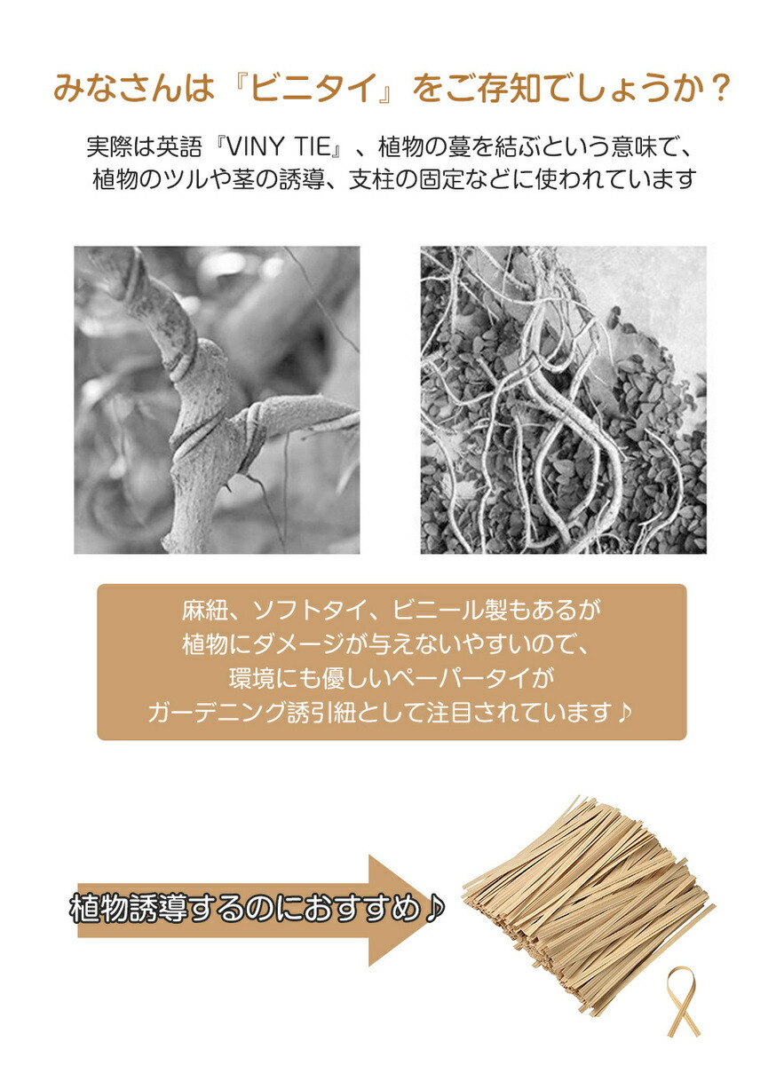 超特価sale開催 支柱 バンド ビニタイ 和紙タイ ペーパータイ ワイヤータイ クラフト製 トマト ツイストタイ ラッピングタイ ねじりっこ エスタイ 結束線 結束バンド 添え木 支柱止め 園芸diy 家庭菜園 ガーデニング用品 支柱結束資材 父の日 ギフト プレゼント