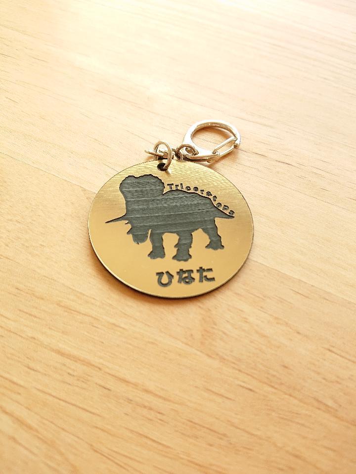 楽天市場 送料無料 クリックポストを選択ください 名入れも無料 名入れキーホルダー 恐竜 トリケラトプス誕生日 記念 通園 通学 通勤 贈り物 ギフト キッズ ベビー プチギフト アクリル キーホルダー 恐竜 化石 ティラノ お揃い ペア 名入れ 名前 男の子 女の子 名