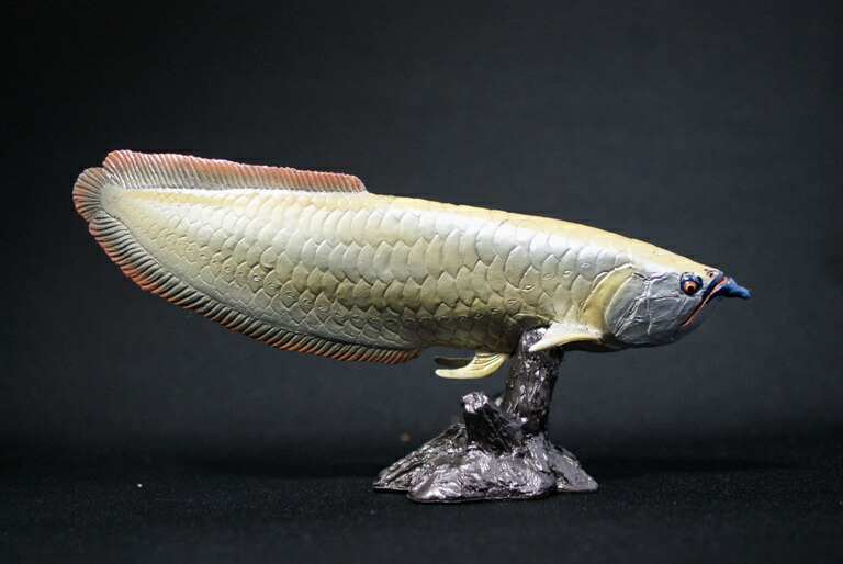 楽天市場】古代魚ビニールモデル シーラカンス : アクアランド