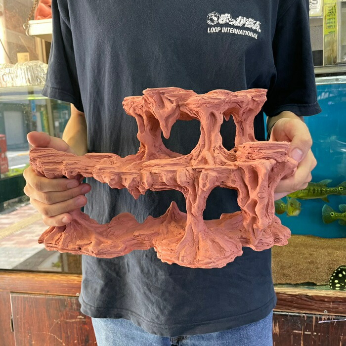 シェルタクラフタイガラシSPモンスターケーキXLサイズIE-A