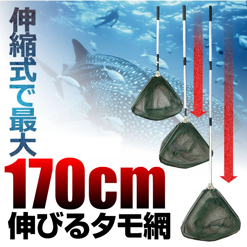 即納 大特価 5個セット 釣り用 伸縮式 タモさん2 180cm タモ網 玉網 すくい網 コンパクト ワンタッチネット 折りたたみ 釣具 タモ釣り フィッシング 漁 Tamosan Dexion Com Au