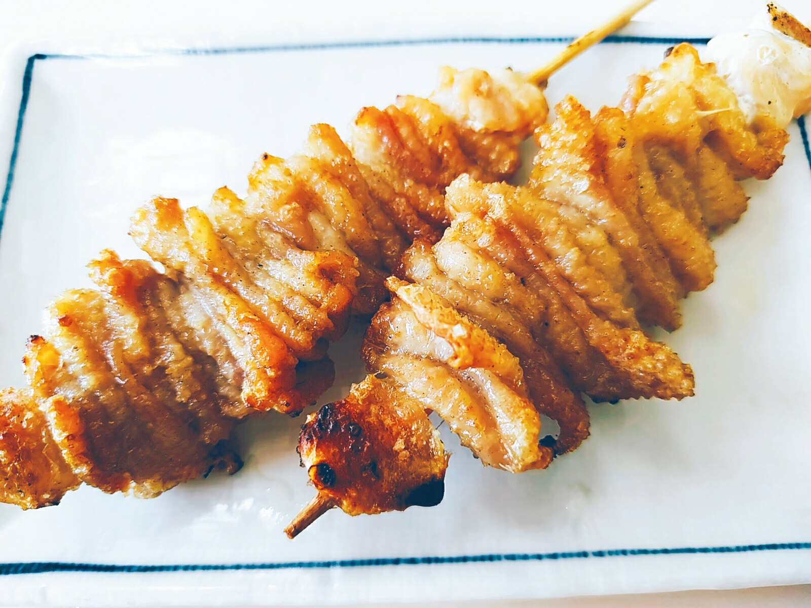 市場 国産 家庭で味わう 串 q キャンプにも 南部どり 本格 焼き鳥 10本セット 生 バーベキュー 皮