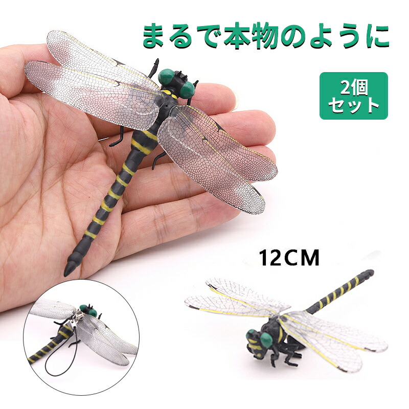 楽天市場】組み立て済み品 精巧な作り 実物に近いサイズ 組み立て式