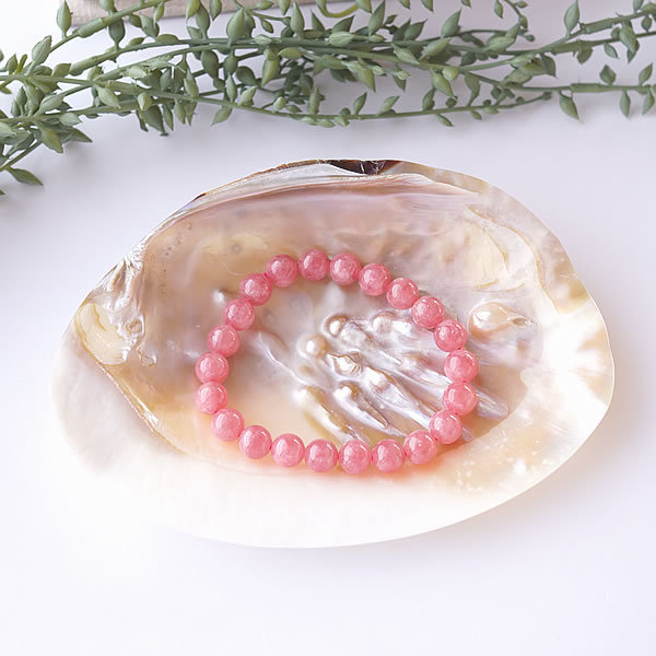 楽天市場】【池蝶貝/養殖/浄化皿/お買い得】シェル 皿 ケース キー