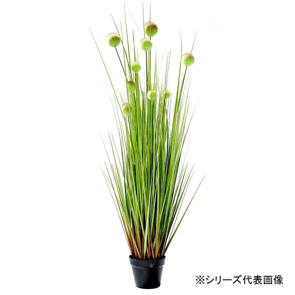 着後レビューで 送料無料 人工観葉植物 ボールグラス M 約122cm Fucoa Cl