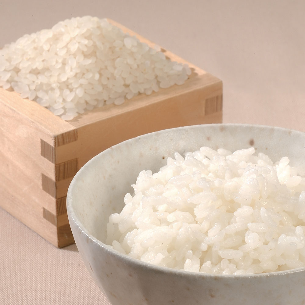 新潟県産 こしひかり 米 25kg (5kg×5) 米・雑穀 | eu-agencies.net