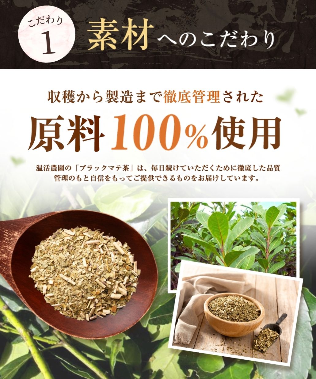 楽天1位＆6冠】ブラックマテ茶 グリーンマテ茶 2g×40包 送料無料 温活
