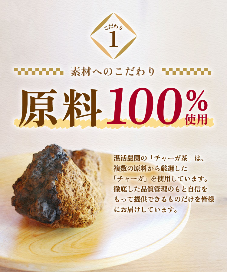 温活農園 公式 チャーガ茶 2g×30包 無添加 農薬不使用 残留農薬検査済 国内生産 最強翌日配送 送料無料 ティーバッグ ティーパック おいしい 飲みやすい チャーガチャ カバノアナタケ 健康茶