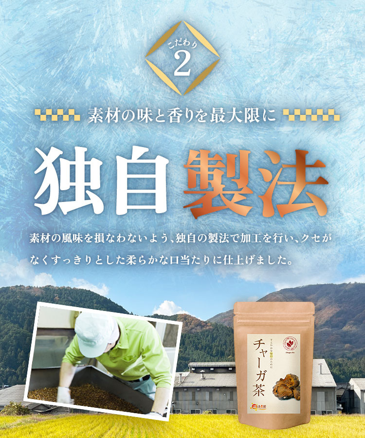 温活農園 公式 チャーガ茶 2g×30包 無添加 農薬不使用 残留農薬検査済 国内生産 最強翌日配送 送料無料 ティーバッグ ティーパック おいしい 飲みやすい チャーガチャ カバノアナタケ 健康茶