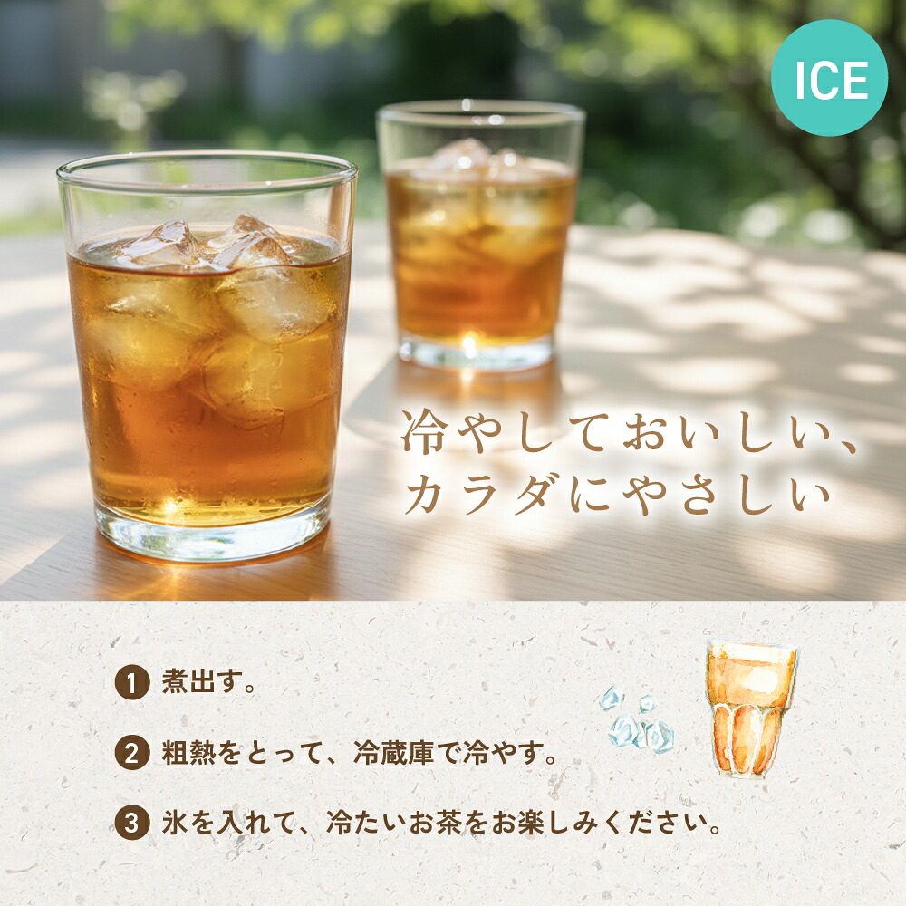 温活農園 公式 チャーガ茶 2g×30包 無添加 農薬不使用 残留農薬検査済 国内生産 最強翌日配送 送料無料 ティーバッグ ティーパック おいしい 飲みやすい チャーガチャ カバノアナタケ 健康茶