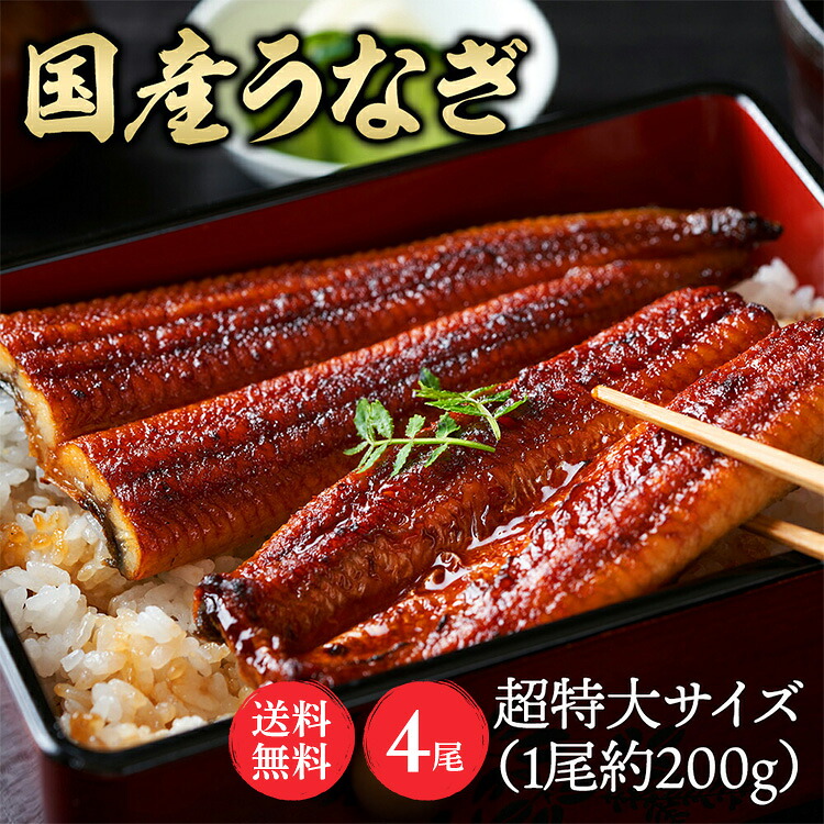 【4尾】特大鰻（約200g/尾） うなぎ かば焼き 国産 鰻蒲焼 冷凍 800g 目利き 厳選 大阪中央卸売市場 土用 Tokka 【TD】 【代引不可】