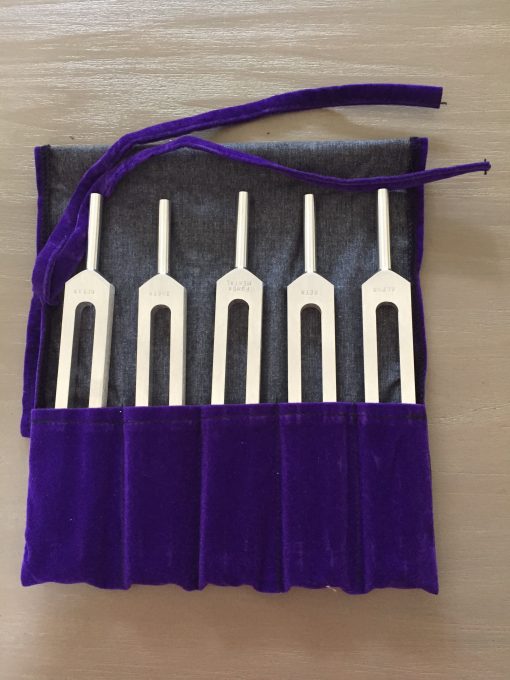 取寄商品 音叉 BRAIN TUNING FORKS ブレインチューナー 5本セット