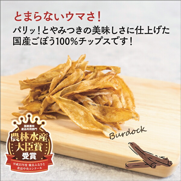 2021年最新海外 ゴボチ ピリ辛味 12袋セット プレゼント まとめて ごぼち ごぼう チップス スナック ママンマルシェ GOBOCHI 無添加  ヘルシー 野菜チップス 農林水産大臣賞 宮崎 送料無料 ごぼうチップス おつまみ おやつ ゴボウチップス