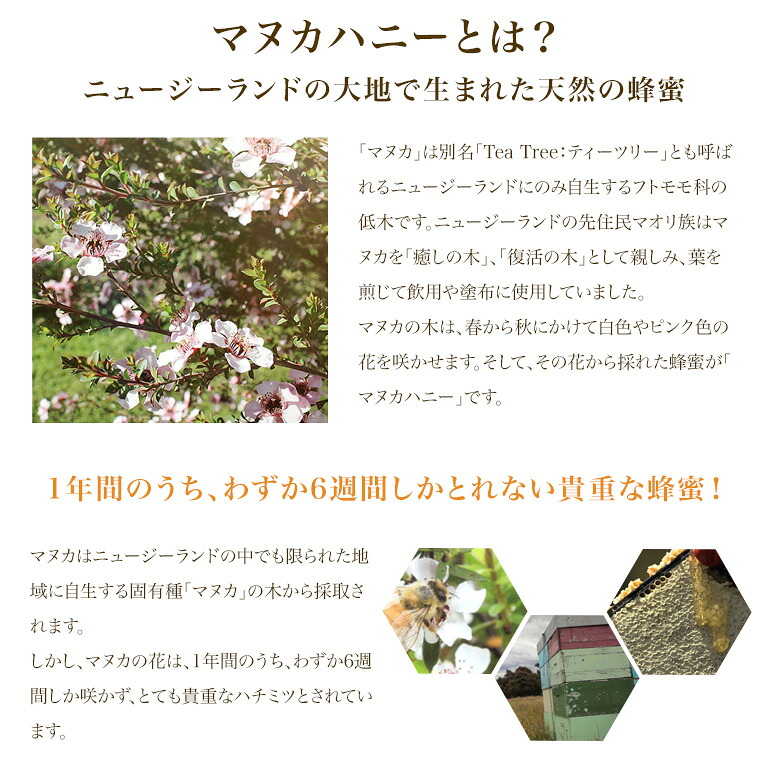 最先端 はちみつ マヌカハニー Umf18 Mgo781相当 Hauora 250g ニュージーランド産 アクティブマヌカハニー 非加熱 パン作り お菓子作り 送料込 Www Flyingislandrealty Com