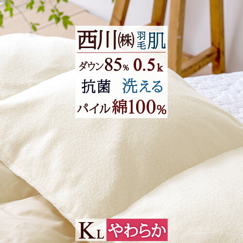 日本最級 掛け布団 西川 キングサイズ 羽毛肌掛け布団 冬得1000円クーポン 東京西川 掛け布団 ホワイトダウン85 薄手 夏 西川産業 羽毛肌 布団 タオル地 パイル 夏用 羽毛布団 抗菌 洗える 羽毛布団 リビング Dgb Gov Bf