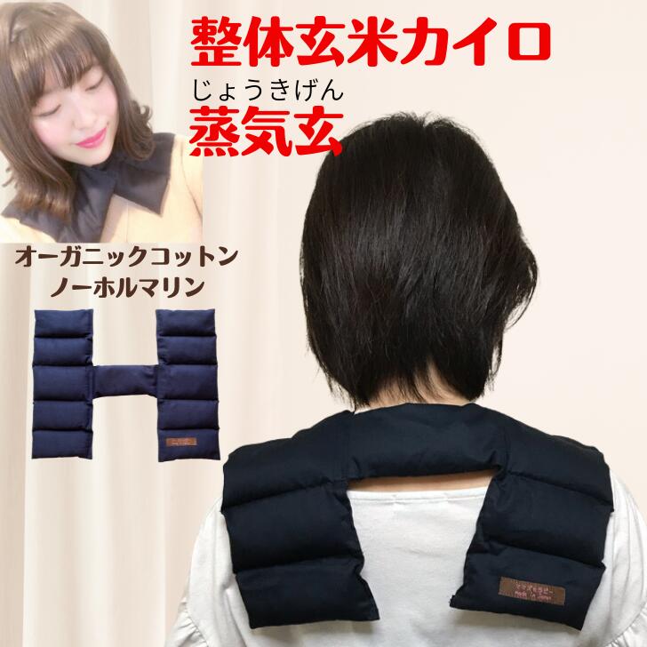 楽天市場】一般医療機器 医療用温熱パック 温熱療法 温熱治療器 肩用