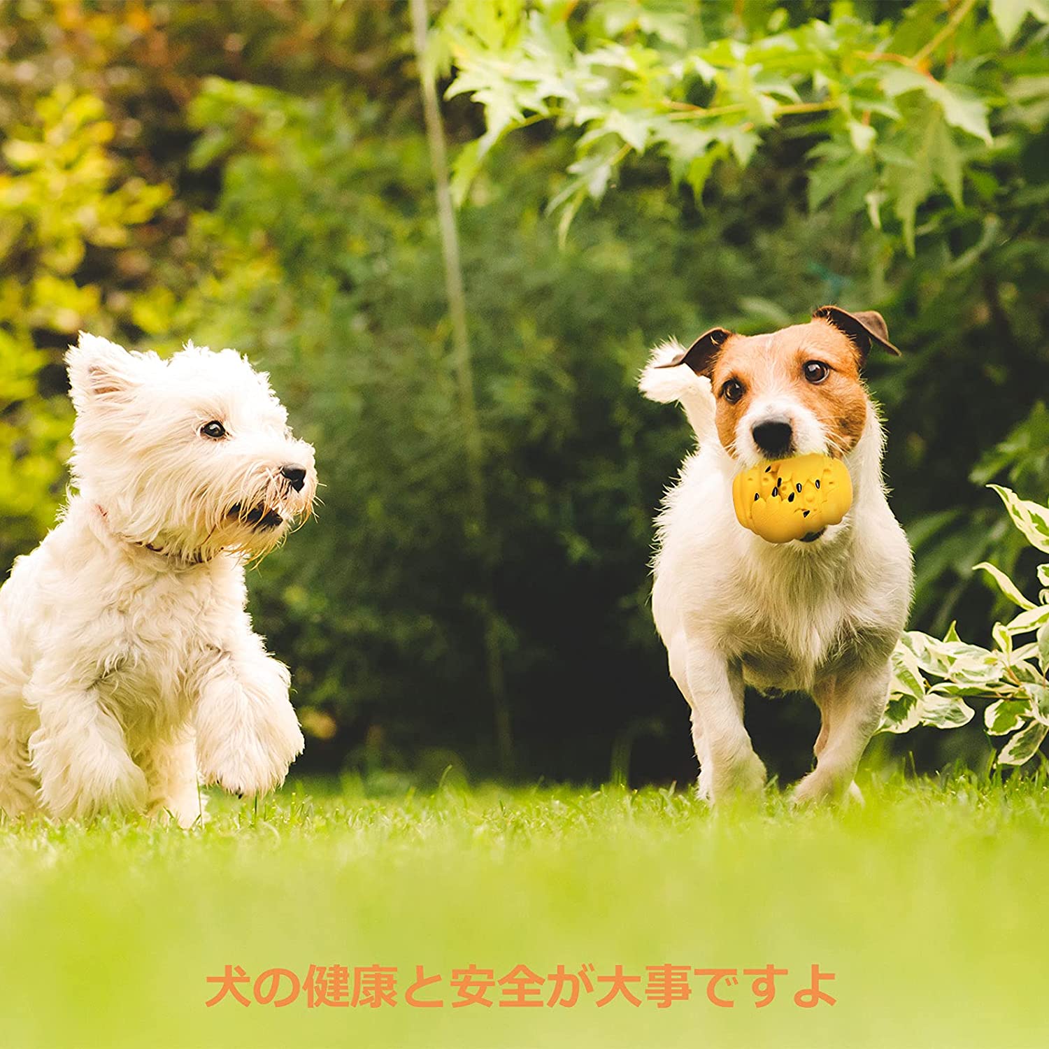 楽天市場 Mypin 噛むおもちゃ 犬用 犬おもちゃ 玩具ボール ラバー製 知育玩具 餌入れ おやつボール 運動不足 やストレス解消 レーニング 犬遊び用 柔らかい ハニカム 歯清潔 ハニーコーム型 Mambate