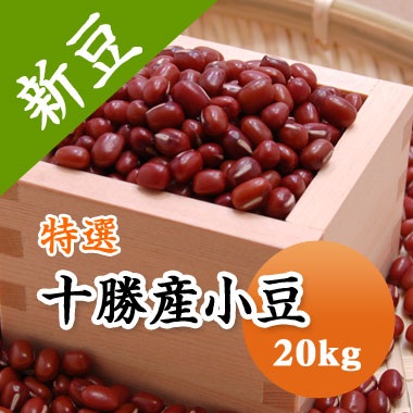 小豆 特選 十勝産小豆 20kg 「十勝産」は全国トップブランド【令和７年産】【送料無料】｜豆平　店