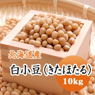 小豆 白小豆 (きたほたる) 北海道産 10kg 【令和７年産】 数量限定｜豆平　店