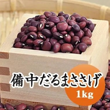 ささげ ささげ豆  だるまささげ 高級ささげ 赤飯などに.. 1kg 【令和６年産】
