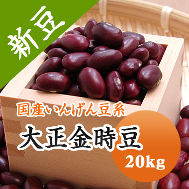 大正金時 金時豆 北海道産 20kg【令和7年産】 業務用|豆平 店