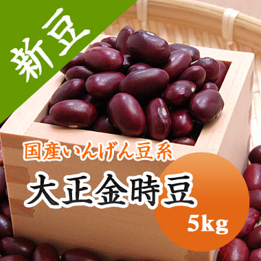 大正金時 金時豆 北海道産 5kg<br>【令和６年産】