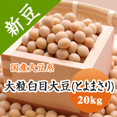 大豆 白目大豆 北海道代表銘柄 とよまさり 20kg<br>【令和６年産】 【業務用】 味噌用大豆 煮豆