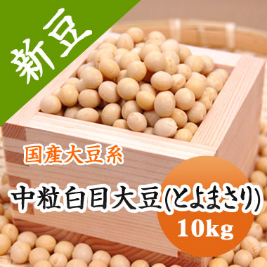 大豆 【令和６年産】 中粒白目大豆 とよまさり 北海道産 煮豆 味噌 豆乳 豆腐などに 10kg 大容量 送料無料