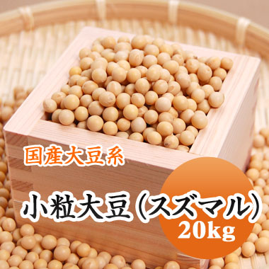 大豆の大豆 専用 suzu20kg.jpg