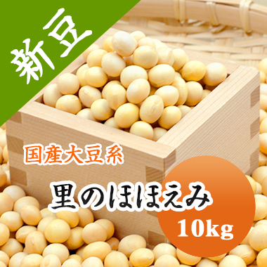 大豆 里のほほえみ 山形県産  10kg<br>【令和６年産】送料無料！！