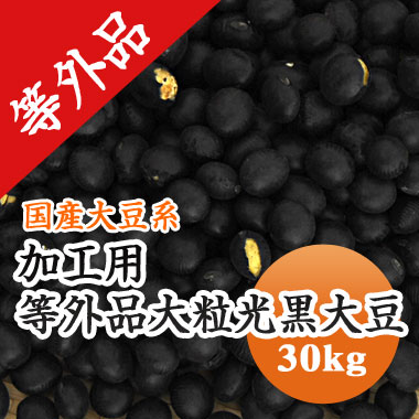 黒豆 【加工用 等外品】 <br>規格外黒大豆 北海道産 お買い得 訳あり 30kg<br>【令和６年産】 【業務用】黒豆酢漬け　ダイエット 黒豆茶などに..  送料無料