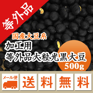 黒豆 加工用 等外品 大粒光黒大豆 北海道産 訳あり お買い得 黒豆茶 メール便 素敵な 500g 激安直営店 令和3年産 ダイエット 送料無料 食品ロス 黒豆酢漬け