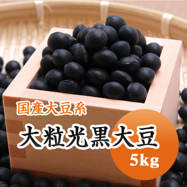 黒豆 大粒光黒大豆 北海道産 5kg<br>【令和６年産】 大容量！！