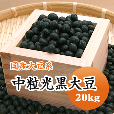 黒豆 中粒光黒大豆 北海道産 20kg【令和７年産】 市場には出回らない珍しいサイズ 送料無料｜豆平　店