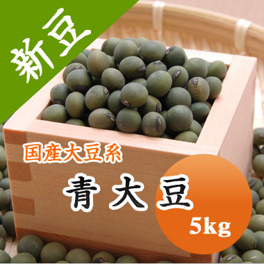 大豆 青大豆 山形県産 5kg<br>【令和６年産】 大容量 ひたし豆