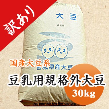 大豆　等外品大豆 加工用 岩手県産宮城県産　規格外 訳あり　B級品　食品ロス　豆乳 30kg<br>【令和６年産】 業務用 大容量 味噌・豆乳などに
